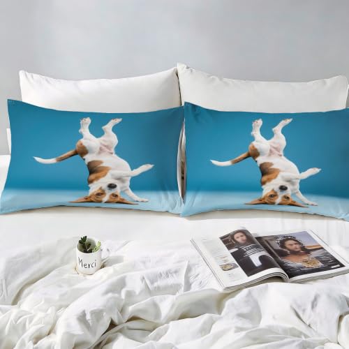 Housse de couette 200x200 chiot Beagle microfibre parure de lit 2 personnes