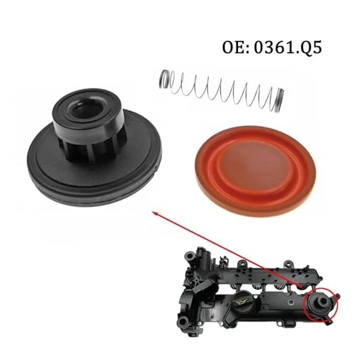 Kit reparación PCV motor 1.4 HDi para viajar sin tirones en Ford 4