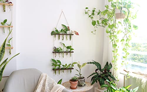Ivolador Wall Hanging Planter Terrarium With Wooden Stand, 3 Tiered Mini Test Tube Flower Vases Retro Hanging Glass Planter Propagator For Hydroponic Plants Cutting Home Office Garden Decor(Brown) #TOP3