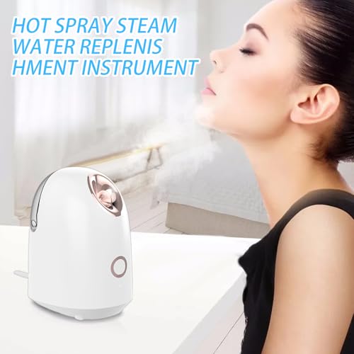 Machine à vapeur faciale avec diffusion thermique continue - 2