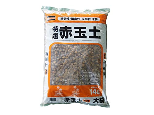 I ԋʓy 嗱 14L ʋCErEې