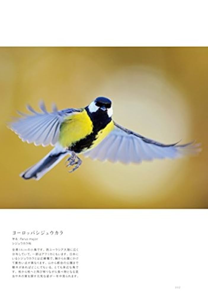 川岸にいる鳥　パステル画 川岸にいる鳥 パステル画 絵画のようなパステルカラーの
