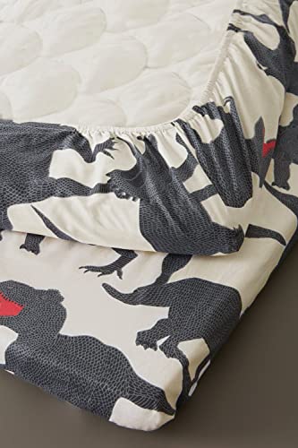 Dino - Lenzuolo con angoli elasticizzati qualità biologica