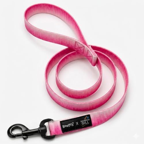 Image of Bowlers Everyday Dog Leash | GULABO Poly Pet Leash with Stickers | Durable Dog Walking Lead with Strong Metal Hook | Comfortable Grip for Small, Medium & Large Dogs