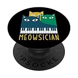 Gato Animal Gatito Gatito Pussycat Mascota Regalo