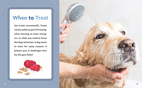 Treating Your Dog 1640260587 Book Cover
