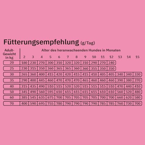 Fellows Großer Chaot Trockenfutter für heranwachsende Hunde – Speziell für Welpen großer Rassen, mit Insektenprotein, Krill und Ei, fördert gesundes Wachstum (500 g)
