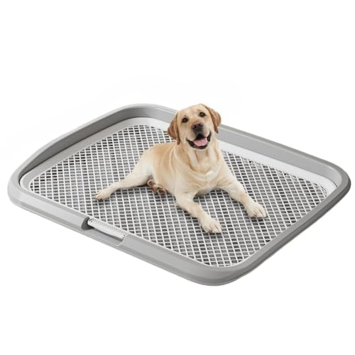 DancJulie犬 トイレトレー ワイド はみ出し防止 大型犬対応 お手入れ便利 犬用小便器 中型犬 排泄 イエロー (特大フラットベッド(モダングレー))