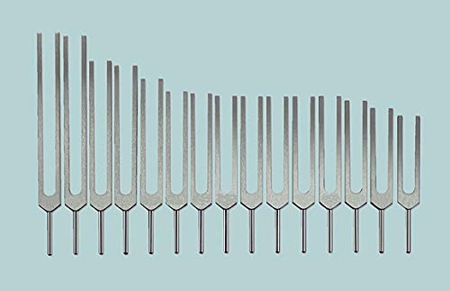 Human Organ Tuning Fork Set