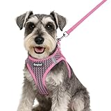 Eagloo Small Dog Harness and Leash Set, Step in Puppy Vest with Breathable Soft Mesh, Walking Reflective Pet Harness for Small Dogs, Pink, S