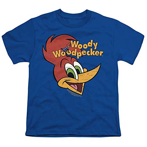 Woody Woodpecker Retro Logo Unisex Youth T Shirt