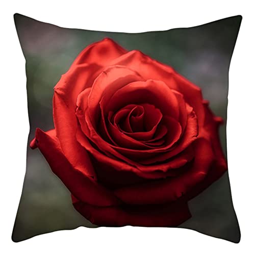 1 funda de cojín de 40 x 40 cm, funda de cojín lisa de poliéster rojo rosa para sala de estar, sofá, dormitorio Cover
