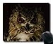 Price comparison product image YENDOSTEEN Gaming mouse pad,a owl without feathers Hypnotic Eyes W u00fcstenuhu Pharaonenuhu Bubo,Mouse Pad with Stitched Edges