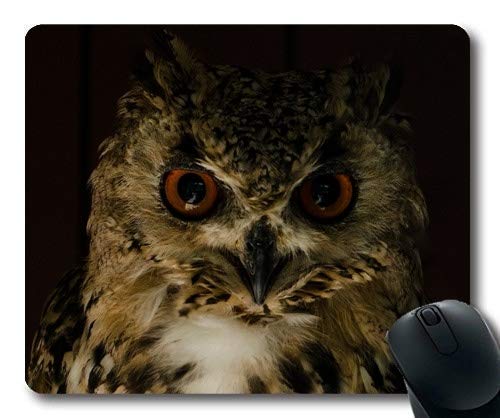 Gaming Mouse pad,a owl Without Feathers Hypnotic Eyes W u00fcstenuhu Pharaonenuhu Bubo,Mouse Pad with Stitched Edges