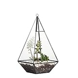 Dies ist ein Terrarium in Pyramidenform zum Aufhängen, toll als Mittelpunkt.Sie sind mittelgroß.Ideal zum Aufhängen an Decke, Wand oder Regal.