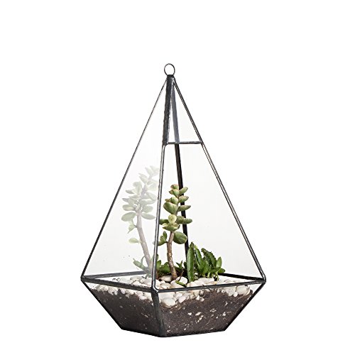 Moderno terrario geométrico de cristal con forma de pirámide para colgar en soporte de pared, DIY, transparente, maceta decorativa abierta, para helecho, musgo, 24 cm de altura