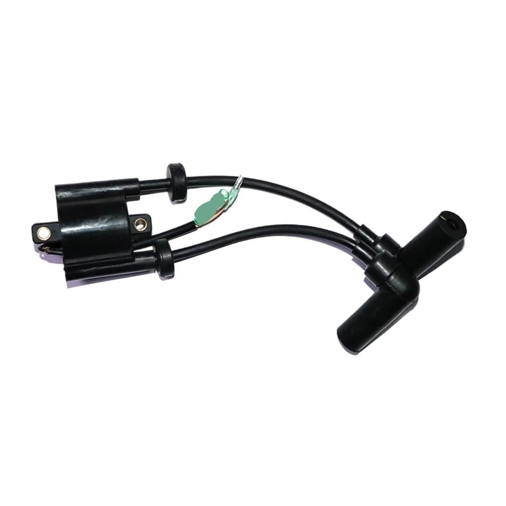 Bobine d'allumage F15 pour moteur hors-bord 4 temps 15 CV 66M-85570-00-00