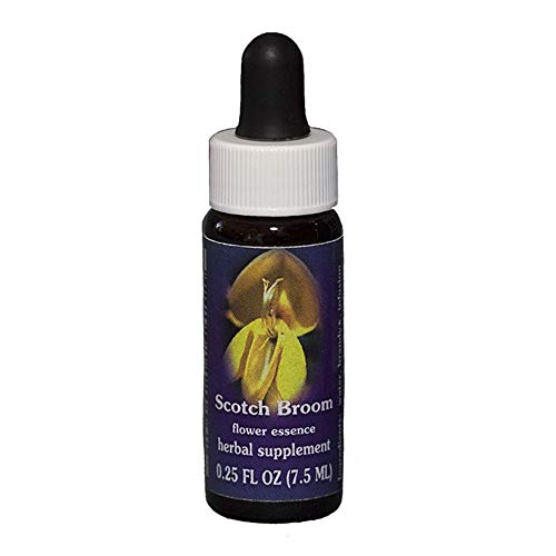 Flower Essence Services Scotch Broom Essence