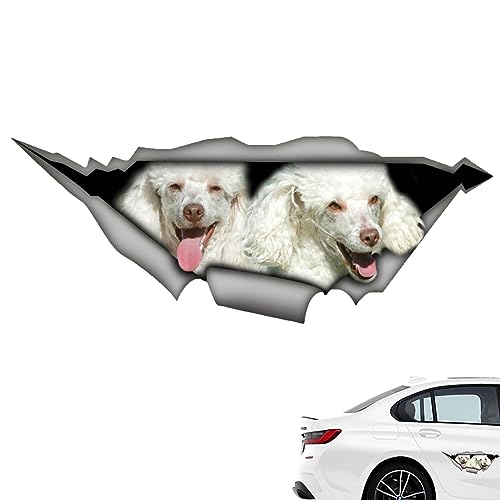 Decalques da rachadura do carro Adesivos para estimação, Adesivos para Vidros Carros, Decalques pare