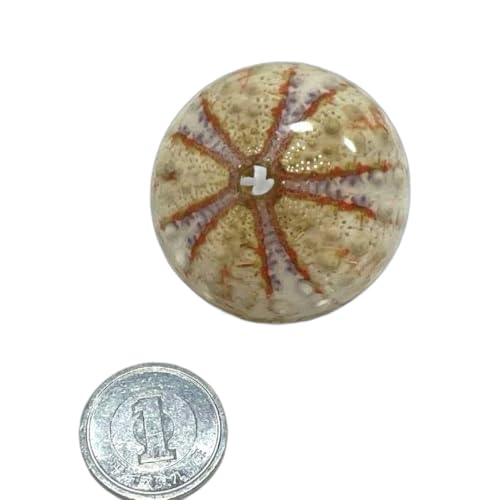 Ej u[` ETMmlhR W{ Lk ͌^