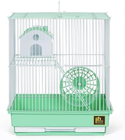 gerbil cage for two