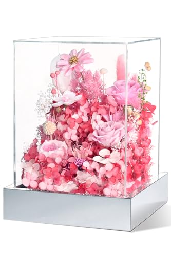Waipfaru Valentines Day Gifts for Her, Preserved Roses in A Box, Fresh Flowers Prime, Forever Eternal Flowers in Acrylic Display Case, Galentines Day Gifts for Women Mom Grandma (Pink)