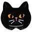Black Cat