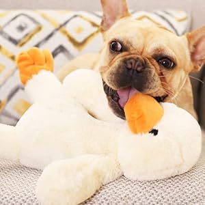 HOOPET Plush Duck Dog Toy Stuffed Animal Toys Large Squeaky Dog Toys Soft Pillow Snuggle Cuddle Puppy Toy for Big Medium Small Breed Dog