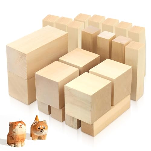 DBAILY Juego de 22 bloques de madera para tallar, madera de tilo para tallar, manualidades y torneado, madera para tallar para niños y adultos