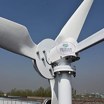 1000W 2000W 3000W Horizontal Wind Turbine 48v 96v 110V 120V 220V Generator for Home Use Free Energy Wind Power Windmill (24V, 1000W)