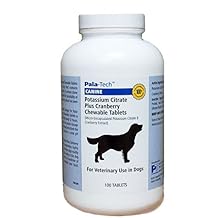 Dog UTI Treatment - Potassium Citrate Plus Cranberry Supplement for Dogs 100 Chewable Tablets for Urinary Tract Infection & Bladder Stone Prevention, Canine Incontinence Support Made in USA