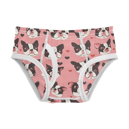 Wusikd Cute Boston Terrier Boys' Underwear Cotton Hearts Boys Briefs Soft Toddler Underwear 2T