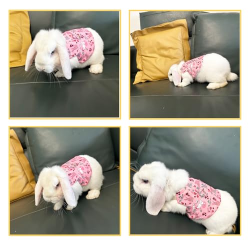Image of 2Pcs Rabbit Harness and Leash Set Soft Adjustable Clothes for Bunny Guinea Pigs Chinchillas Small Pets Walking Harness Small Rabbits Outdoor Camping Hiking Training (M)