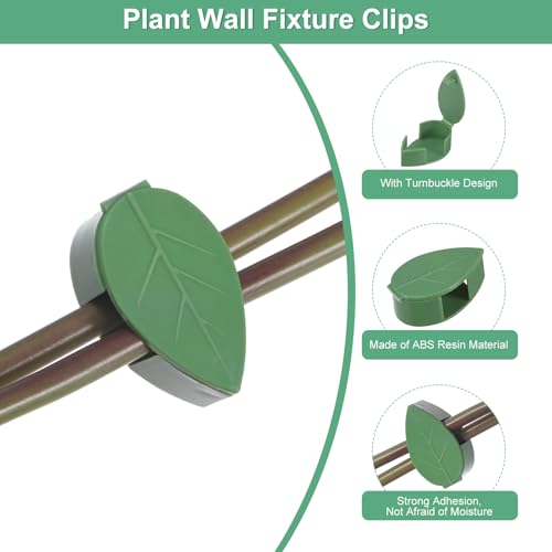 M METERXITY Pacote com 72 clipes de parede para plantas, clipes de parede de escalada para plantas,