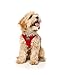 FuzzYard Rebel Red Step in Harness for Dogs (Extra Extra Small)