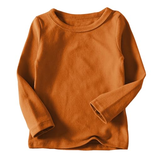 Cotton Pullover Base Shirts for Girls Boys Toddler Fall Long Sleeve Crewneck Tee Shirt Cute Soft Thick Comfy Tops