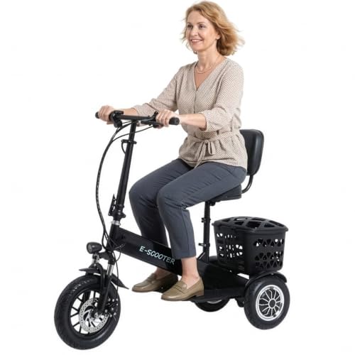 3 Wheel Electric Scooter for Adults