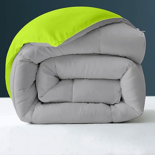 Image of Day Care - 400 GSM Hotel Quality-Down Alternative Reversible Blanket for Winter Double Size (90 inch x 100 inch Inches /228cm x 228cm) -Comforter Set for Double Bed|Parrot /Silver