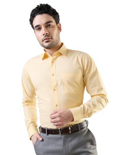 Image of Raymond Men Slim Fit Fil-A-Fil Pattern Pure Cotton Semi Cutaway Collar Full Sleeve Formal Shirt