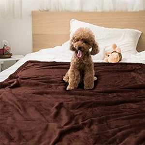 PetAmi-WATERPROOF-Dog-Blanket-For-Bed-XL-Dog-Pet-Blanket-Couch-Cover-Protection-Sherpa-Fleece-Leakproof-Bed-Blanket-for-Crate-Kennel-Sofa-Furniture-Protector-Reversible-Soft-Plush-80x60-Brown-Brown - Cucciolini Doodles   PetAmi-WATERPROOF-Dog-Blanket-For-Bed-XL-Dog-Pet-Blanket-Couch-Cover-Protection-Sherpa-Fleece-Leakproof-Bed-Blanket-for-Crate-Kennel-Sofa-Furniture-Protector-Reversible-Soft-Plush-80x60-Brown-Brown