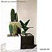 Silicone Molds for Concrete Flower Pot, 4.7 inch Square Planter Mold Concrete Moulds for DIY Handcraft Succulent Bonsai Flowerpots Home Office Tabletop Decorating Container(Color:Square 4.7 inch)