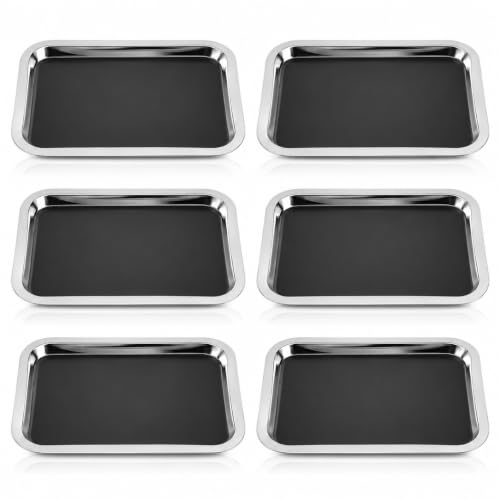 6-Pack Stainless Steel Dissection Trays