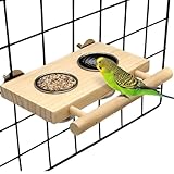 Kathson Vogelfutternapf mit Holzplattform Hängender Edelstahl-Käfigfutternapf · Holz-Sitzstange für Sittiche, Nymphensittiche, Unzertrennliche und Wellensittiche (Klein)