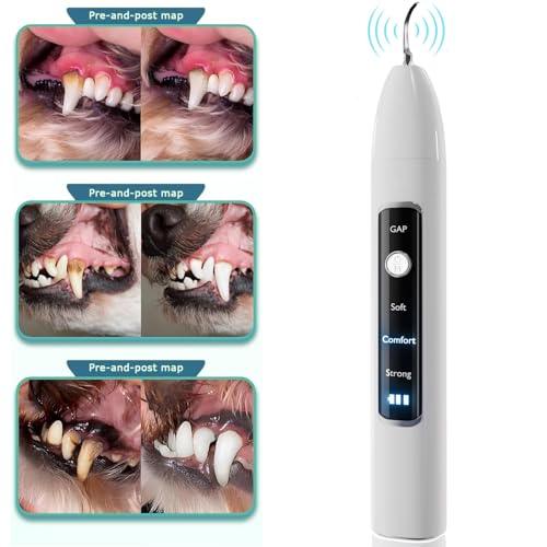 Image of SIRGAWAIN Pet Ultrasonic Dental Cleaner - Plaque, Tartar & Stains Remover, 4 Tips, 3 Modes, LED, Contact-Activated & Smart Touch Protection, Complete Cleaning Kit for Dogs & Cats (White)