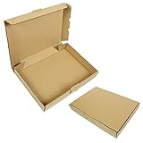 1 Postsicherheitsverschluss 100 Maxibriefkartons 350x250x50mm Braun Versand Post Faltschachtel MB-5