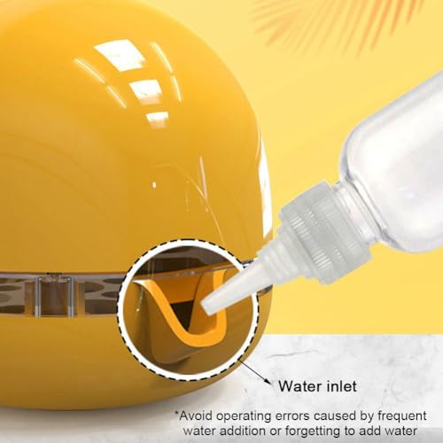 Mini incubateur d'œufs multifonctionnel avec couvercle transparent de précision