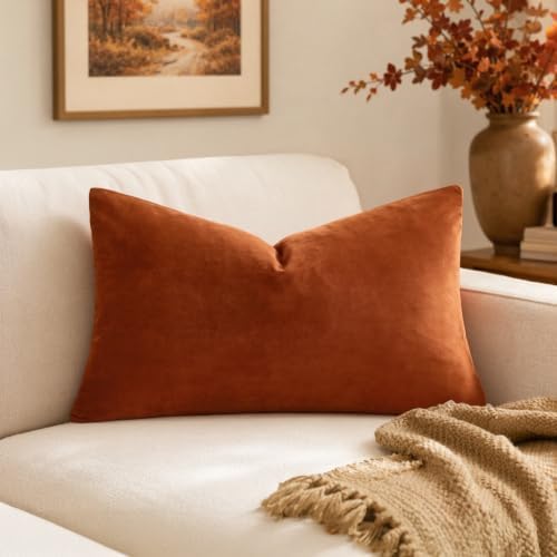 MIULEE 12x20 Inch Lumbar Fall Velvet Throw Pillow Cover Set of 1 ...