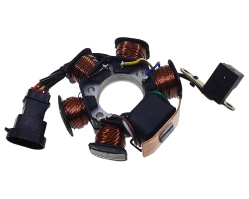 Alternateur stator compatible pour Derbi GP1 Boulevard 50 cc, Racing, Evolution, Gilera DNA, Runner, Stalker