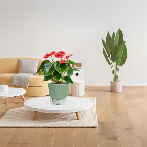 Pots de plante d'auto-arrosage 6 pouces pour éviter l'excès d'eau - 6