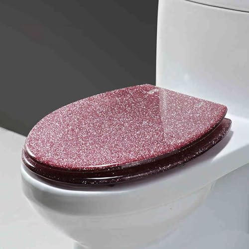 Cammeciso Toilettendeckel,Toilettensitz Aus Kunstharz,WC Sitz Aus Harz Mit Schnellverschluss,Polyresin Toilettensitz Transparenter,WC Sitz mit Absenkautomatik,Transparenter Harz-WC-Sitz.